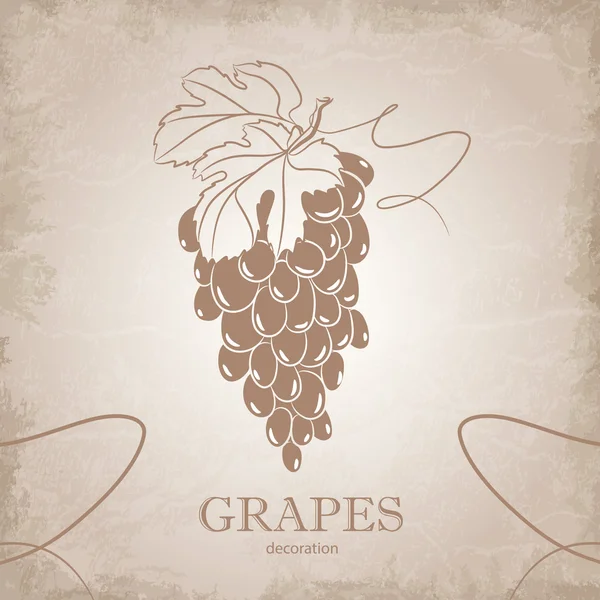 Винтажная иллюстрация винограда — стоковый вектор