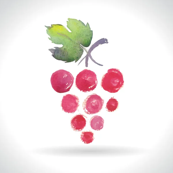 Ilustraciones en acuarela de uvas — Vector de stock