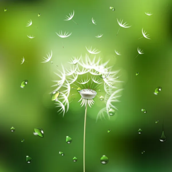 Abstract green background with  flower dandelion — Stock Vector