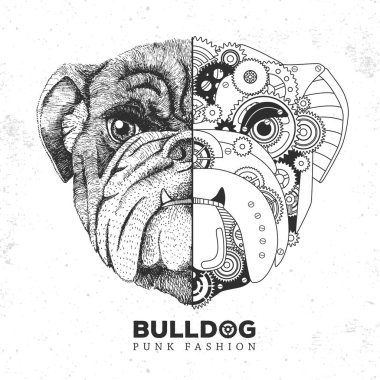 Gerçekçi ve punk stili buldog suratı çizimi. Dişlilerle Bulldog suratlı siluet. Vektör illüstrasyonu