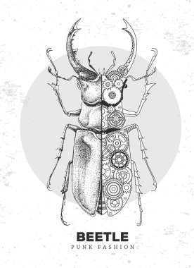 Gerçekçi ve punk stili geyik böceği çizimi. Vitesli böcek silueti. Vektör illüstrasyonu