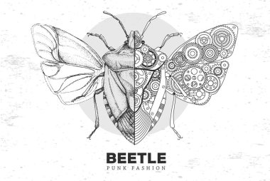 Gerçekçi ve punk stili kalkan böceği çizimi. Vitesli böcek silueti. Vektör illüstrasyonu