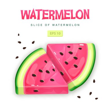 Beyaz arka planda izole edilmiş karpuz dilimleri. Vektör karpuz çizimi
