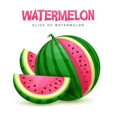 Beyaz arka planda izole edilmiş karpuz dilimleri. Vektör karpuz çizimi