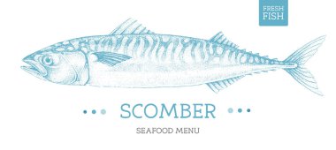 Gerçekçi scomber balık vektör çizimi. Deniz ürünleri menüsü tasarımı
