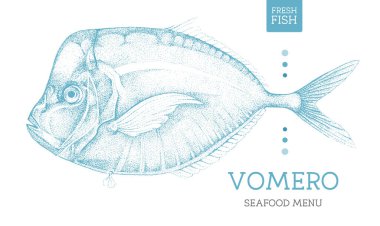 Gerçekçi Vomero balık vektör çizimi. Deniz ürünleri menüsü tasarımı