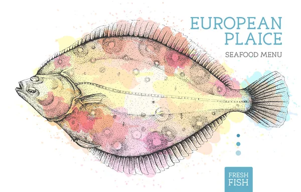 Realistico Europeo Passera Mare Pesce Vettore Illustrazione Sfondo Acquerello Artistico — Vettoriale Stock