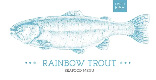 Realistic Rainbow Trout Fish Vector Illustration Seafood Menu Design — Stock Vector