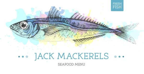 Realistische Jack Makreel Vis Vector Illustratie Artistieke Aquarel Achtergrond Ontwerp — Stockvector