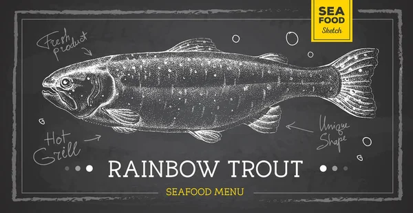 Realistic Chalk Drawing Rainbow Trout Fish Vector Illustration Seafood Menu — Wektor stockowy