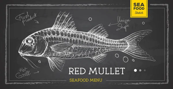 Realistic Chalk Drawing Mullus Fish Vector Illustration Seafood Menu Design — ストックベクタ