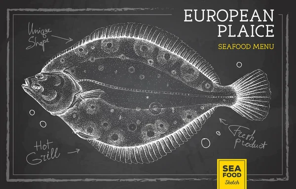 Gesso Realistico Disegno Flounder Pesce Vettore Illustrazione Design Menu Frutti — Vettoriale Stock