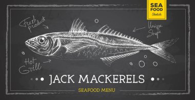 Gerçekçi tebeşir çizimi Trachurus balık vektör çizimi. Deniz ürünleri menüsü tasarımı