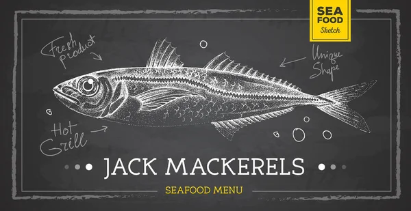 Gerçekçi tebeşir çizimi Trachurus balık vektör çizimi. Deniz ürünleri menüsü tasarımı