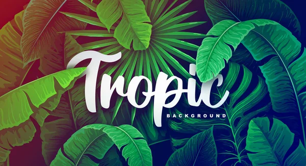 Tropische Wilde Bosachtergrond Met Verschillende Tropische Bladeren Vector Illustratie Zomer — Stockvector