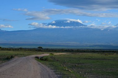 Kilimanjaro 'nun Amboseli Ulusal PArk, Kenya, Afrika' daki görüntüsü