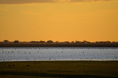 Günbatımı, Amboseli Gölü bataklıkları Kıtlık, Kenya, Afrika
