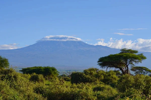 Blick Auf Den Kilimandscharo Amboseli National Park Kenia Afrika — Stockfoto