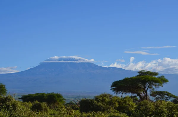 Blick Auf Den Kilimandscharo Amboseli National Park Kenia Afrika — Stockfoto