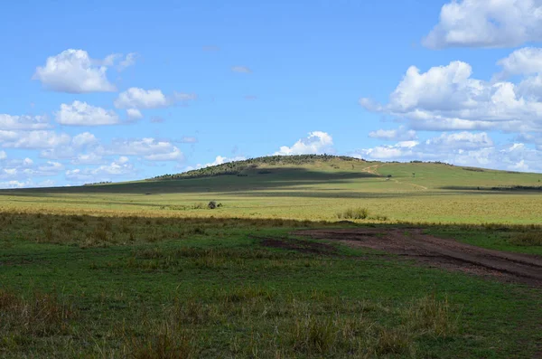 Naturlandschaft Kenias — Stockfoto