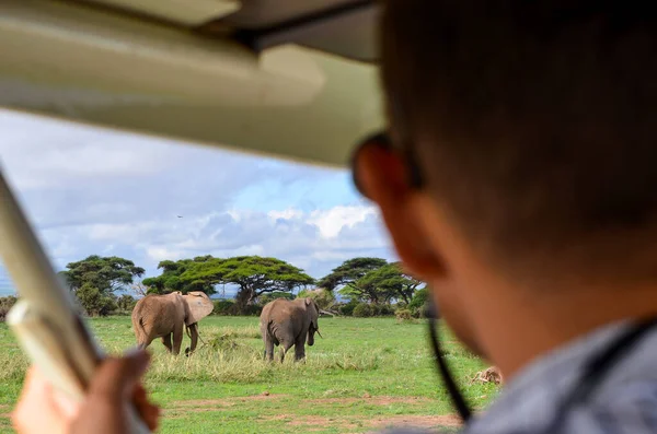 Turista Muž Pozorující Stádo Slonů Savaně Auta Národní Park Amboseli — Stock fotografie