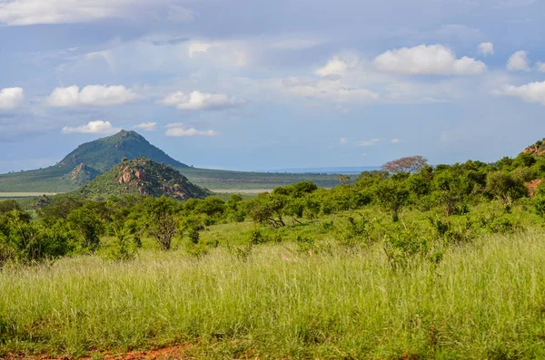 Hügel Der Savanne Tsavo East Kenia Afrika — Stockfoto