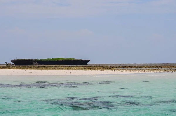 Orilla Isla Cerca Kenia Después Bucear Kenia África — Foto de Stock