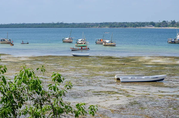 Kenya yakınlarındaki adanın kıyısı, şnorkelle yüzdükten sonra, Kenya, Afrika