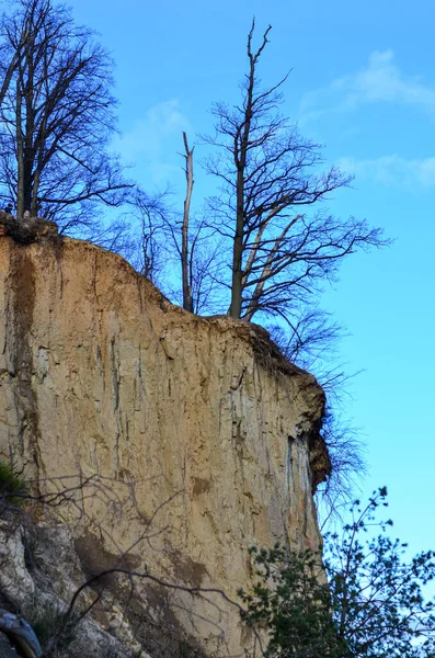 Cliff Baltic Sea Orlowo Gdynia Lengyelország — Stock Fotó