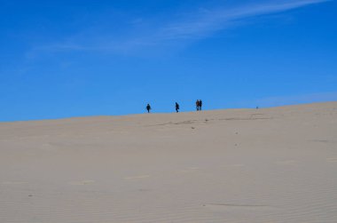 Slovinski Ulusal Parkı, Leba Kum tepesi Baltık Sahili, Polonya, Avrupa