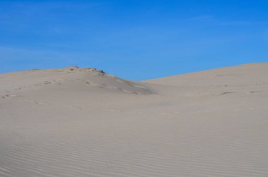 Slovinski Ulusal Parkı, Leba Kum tepesi Baltık Sahili, Polonya, Avrupa