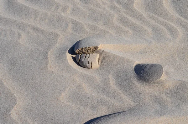 斯洛温斯基国家公园 波罗的海沿岸的Leba沙丘 — 图库照片