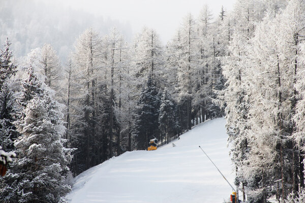 Beautiful forest in winter mountains