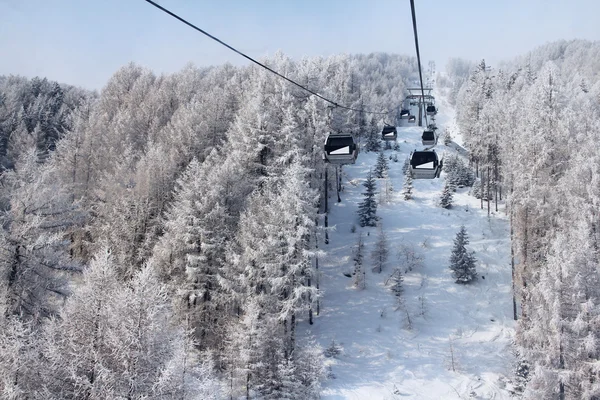Wyciąg krzesełkowy pomiędzy pięknym jodły w góry zimą — Zdjęcie stockowe