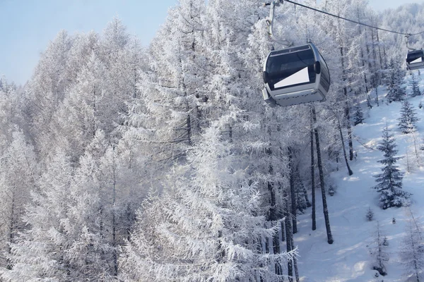 Elevador de cadeira entre belos abetos nas montanhas de inverno — Fotografia de Stock