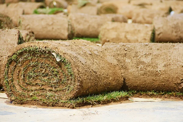 Turf grass rolls — Stock Photo, Image