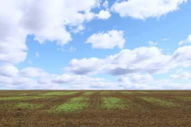 alan küçük fidan ile