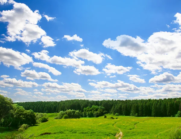 Feld und Wald — Stockfoto