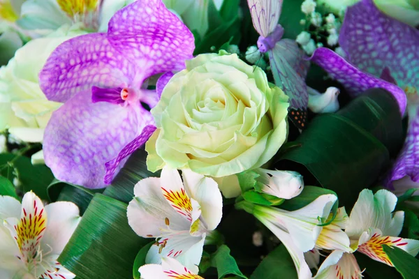 Bunch of flowers — Stock Photo, Image