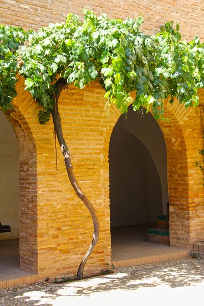 Jardín de la Alhambra — Foto de Stock