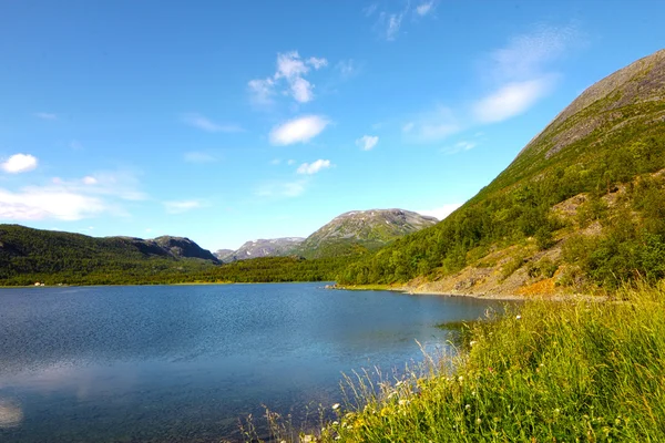 Norveç dağlarında — Stok fotoğraf