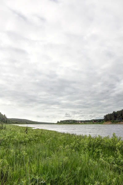 Forêt pittoresque et rivière — Photo