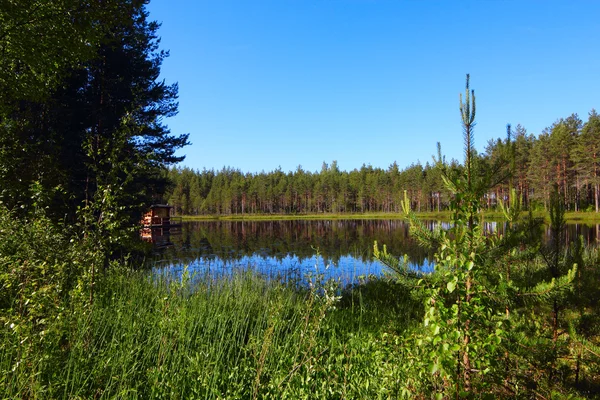 Lesní jezero — Stock fotografie