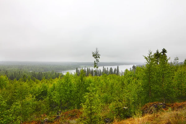 Norra landskap med sjö — Stockfoto