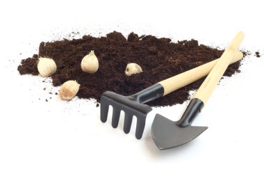 Bahçe aletleri ve çiçek soğanı
