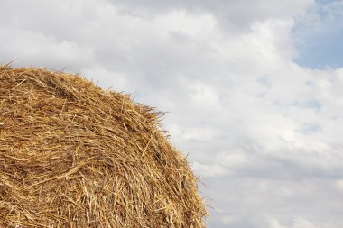 haystacks yakın çekim