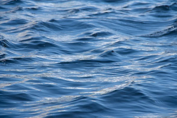 Kräuseln auf der Wasseroberfläche — Stockfoto