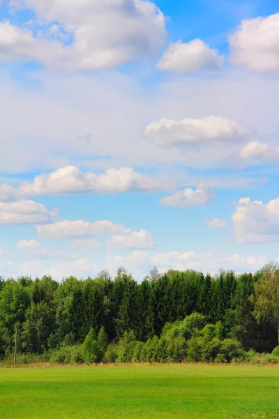 Campo y bosque — Foto de Stock