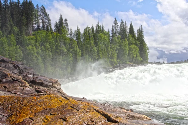 Vattenfall i grön skog — Stockfoto