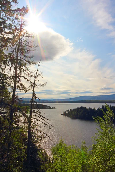 Uitzicht op de fjord van bos — Stockfoto